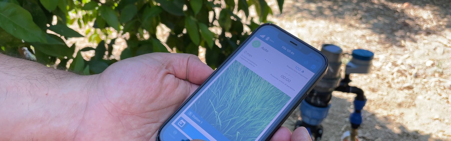 Agrumicultura, con IRRIAP l'irrigazione è smart e deficitaria | VIDEO