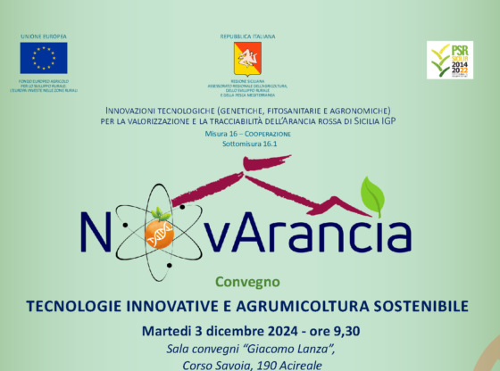 Convegno di presentazione dei risultati raggiunti con il progetto Novarancia